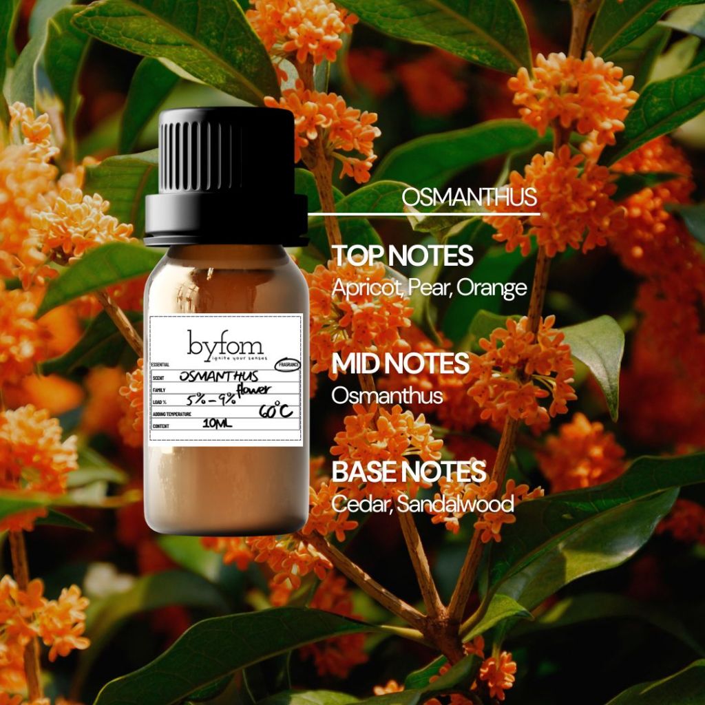 10ml, 50ml, 100ml Byfom Fragrance Oil 100% Pure for Candle, Aromatherapy, Soap, Premium Quality