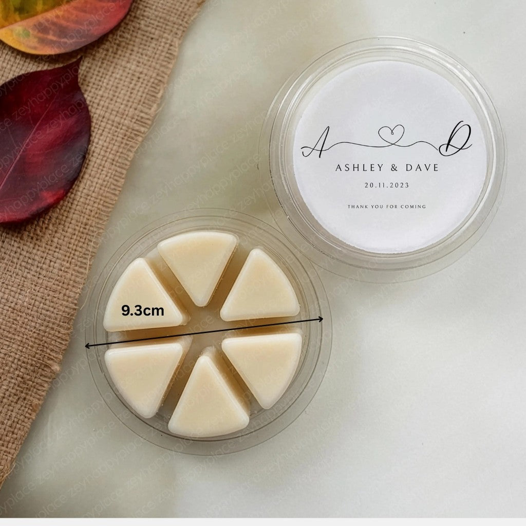 6 slots and 1 slot Wax Melt Containers Clamshells For Tarts Wax Melts Acuan Cair Lilin